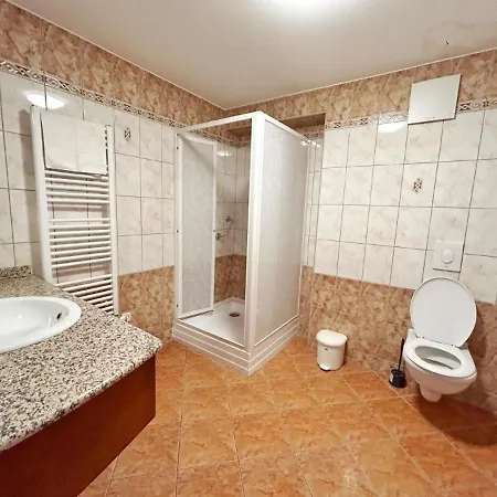Bed & Breakfast Fonix Wellness *** 1 A Epulet Heviz