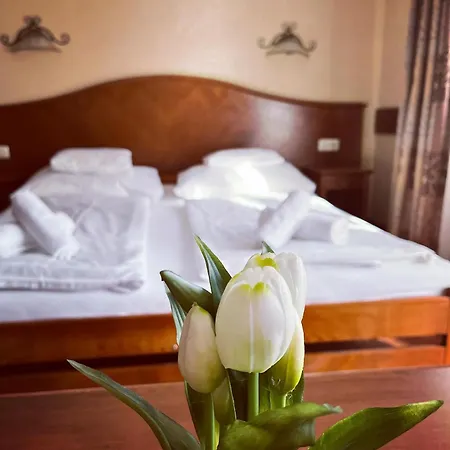 Fonix Wellness *** 1 A Epulet Oda ve Kahvaltı