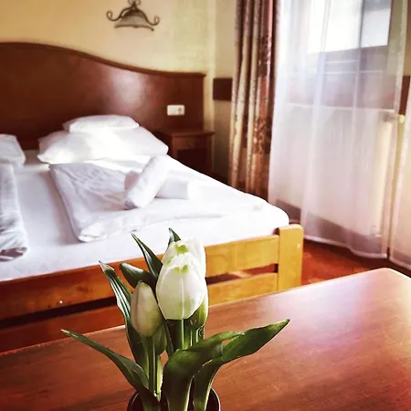 Fonix Wellness *** 1 A Epulet Oda ve Kahvaltı *