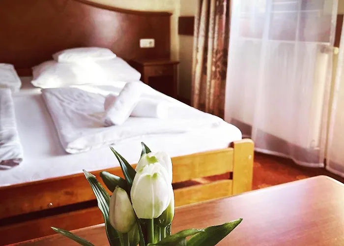 Fonix Wellness *** 1 A Epulet ベッド・アンド・ブレックファスト *